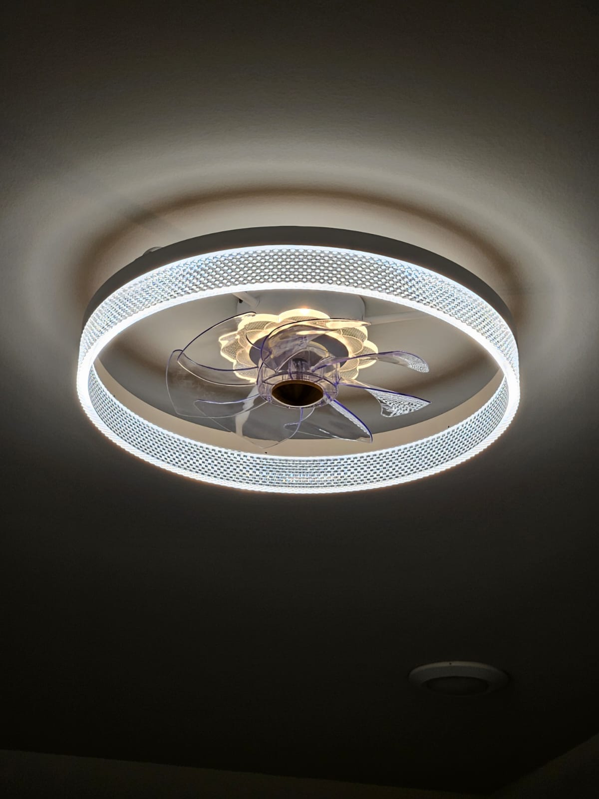 Ceiling Lights & Fans