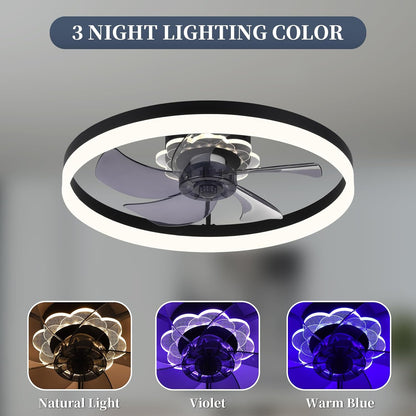 Acrylic Ceiling Fan with Light