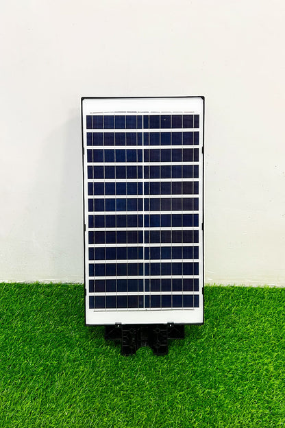 Outdoor/Security Solar Light